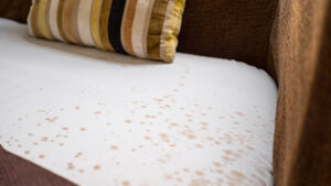 couch stain that reappears after fabric dries