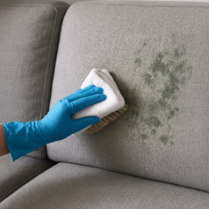 remove mold or mildew from a couch safely 