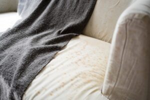 Musty mold smell in a fabric couch where home cleaning may cause further issues
