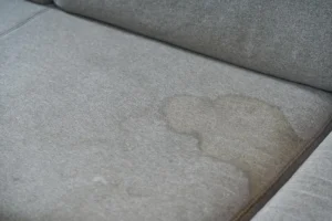 Water stains forming on couch fabric after gentle cleaning and uneven drying
