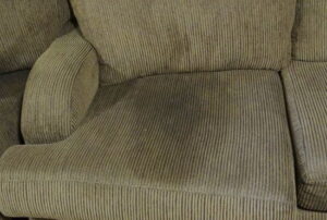 When You Should Not Try to Remove Pet Urine From a Couch Yourself
