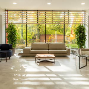 Fabric couch in a living room with large windows and natural ventilation
