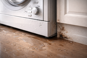 A close-up of a household appliance showing a small, subtle issue that could indicate an early maintenance problem