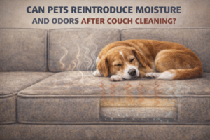 Normal use of a couch after cleaning showing pressure and heat affecting cushions with lingering internal moisture